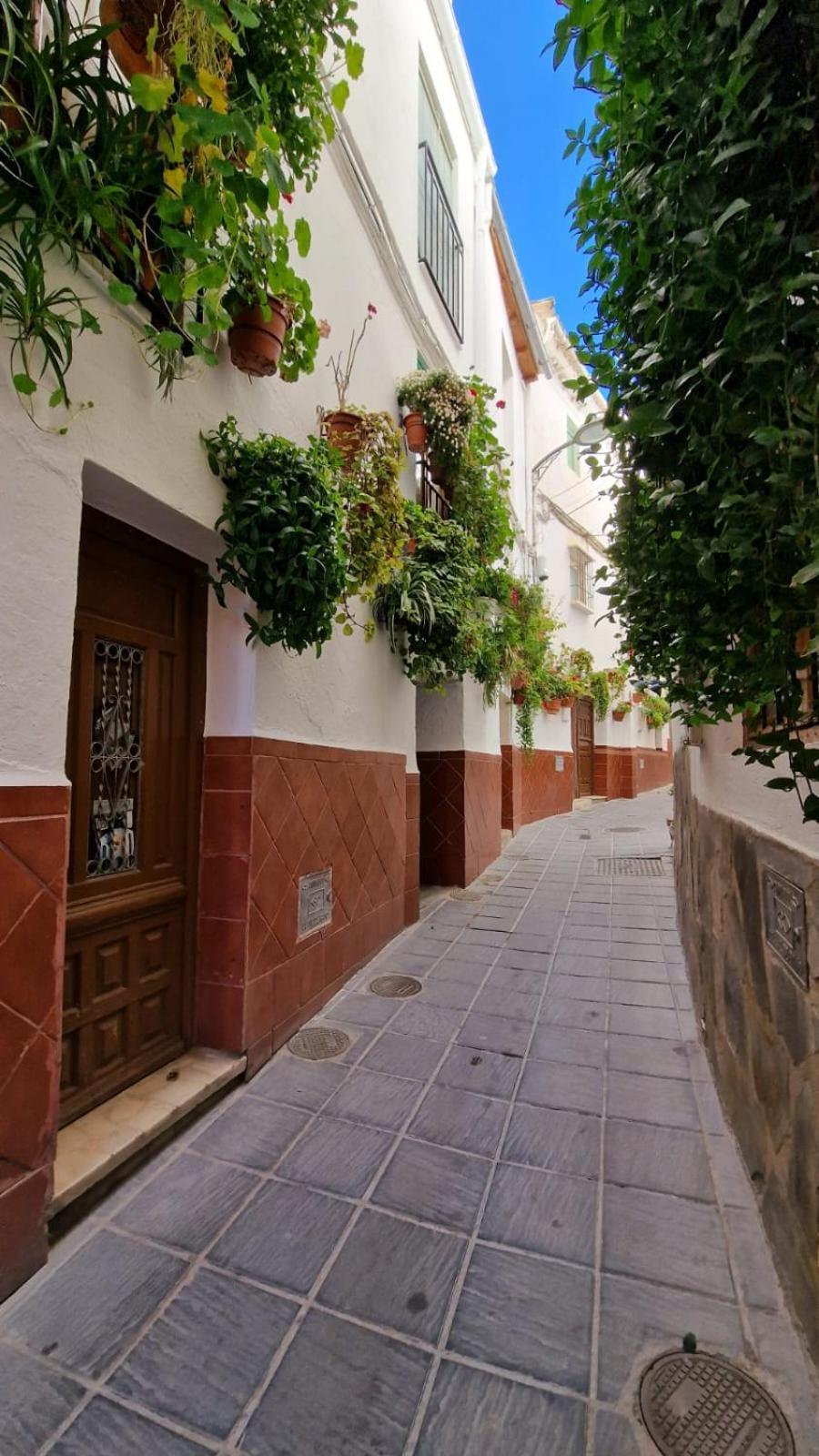 Apartamentos Sierra Nevada Park Guejar Sierra Buitenkant foto
